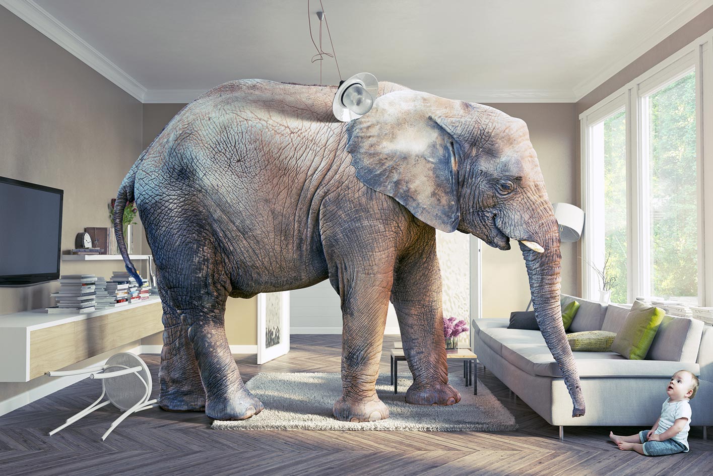 Fertigparkett und Schiffsboden - hohe Tragfähigkeit für moderne Wohnzimmer Elefant im Wohnzimmer auf Fertigparkett